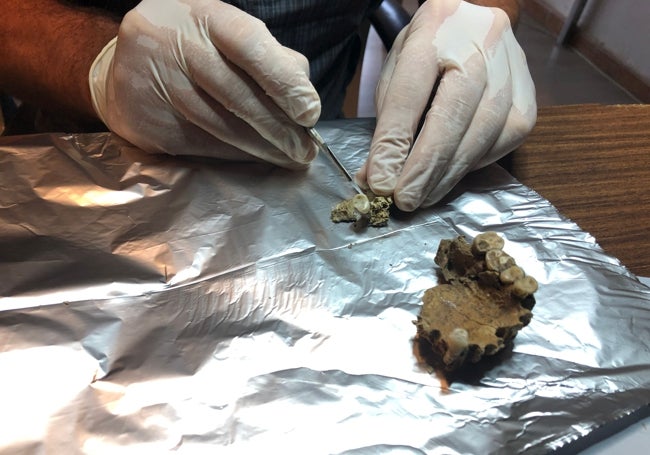 Preparación de muestras.