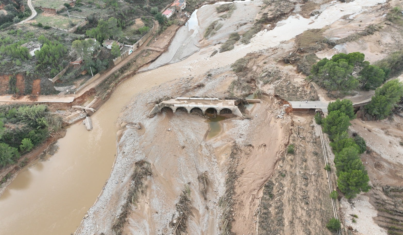 El día que Dolores sobrevivió a la dana: «Le pedí a mi marido que no saliera del coche. Me dijo adiós cuando se lo llevó el agua»