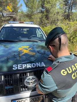 Algunos de los lazos localizados por la Guardia Civil.