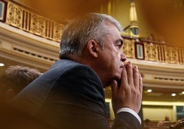 El diputado socialista Santos Cerdán en el hemiciclo del Congreso este jueves.