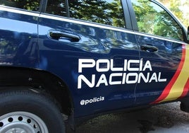 Los Agentes de la Policía Nacional detienen a un hombre en Palencia
