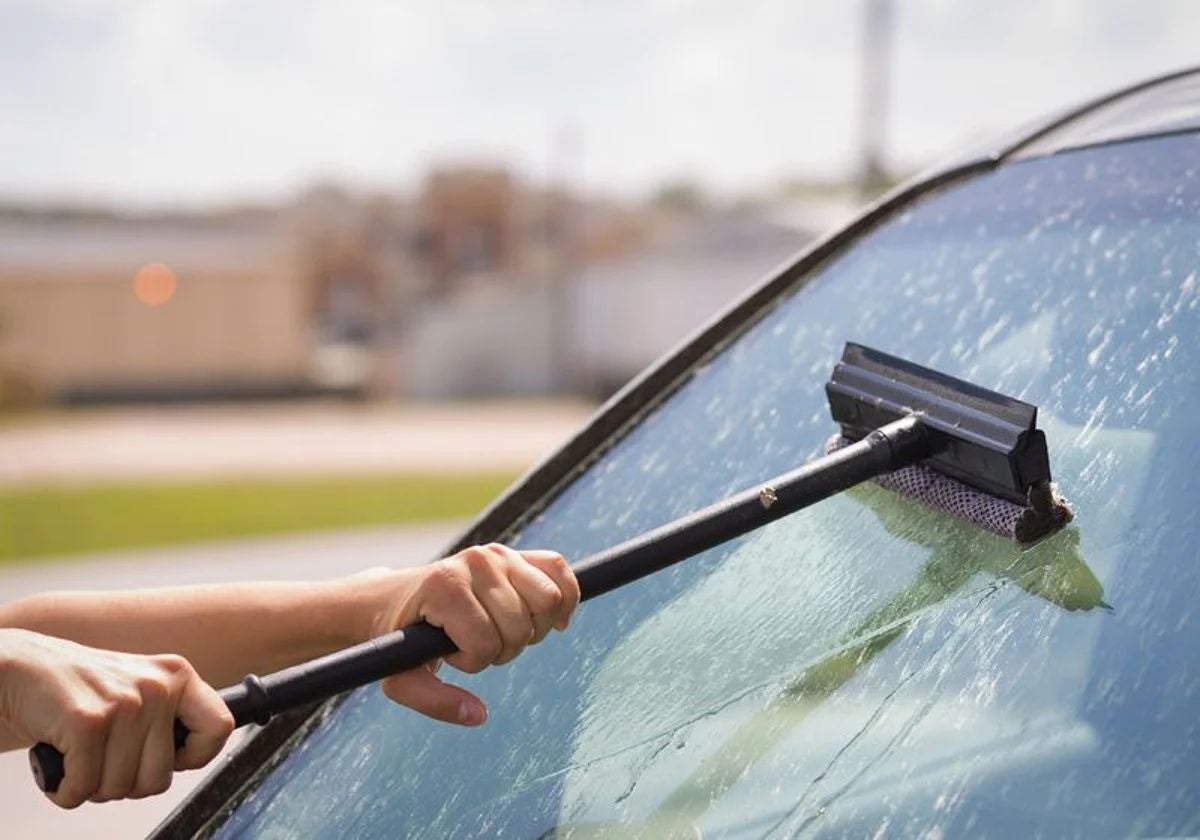 Combate los insectos y el polen: Guía para limpiar las manchas del coche