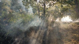 Llamas en La Aldehuela: incendio en el río en Salamanca al arder el manto de polen
